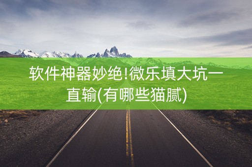 软件神器妙绝!微乐填大坑一直输(有哪些猫腻)
