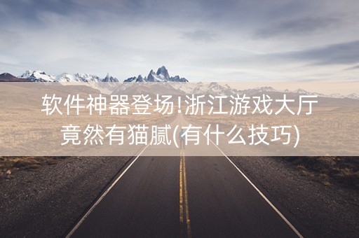 软件神器登场!浙江游戏大厅竟然有猫腻(有什么技巧)