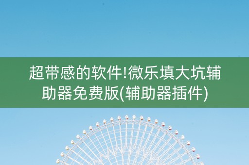 超带感的软件!微乐填大坑辅助器免费版(辅助器插件)