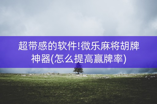 超带感的软件!微乐麻将胡牌神器(怎么提高赢牌率)