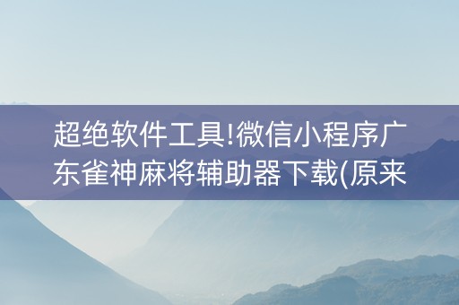 超绝软件工具!微信小程序广东雀神麻将辅助器下载(原来真的有挂)