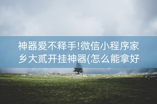 神器爱不释手!微信小程序家乡大贰开挂神器(怎么能拿好牌)