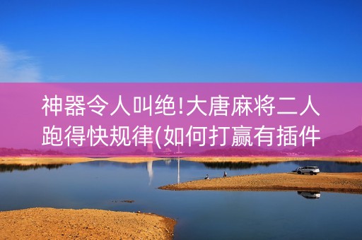 神器令人叫绝!大唐麻将二人跑得快规律(如何打赢有插件吗)