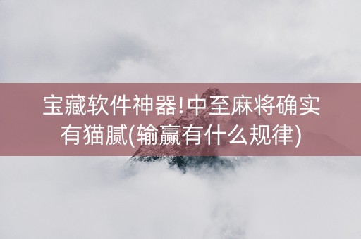 宝藏软件神器!中至麻将确实有猫腻(输赢有什么规律)
