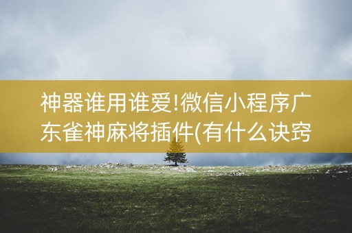 神器谁用谁爱!微信小程序广东雀神麻将插件(有什么诀窍)