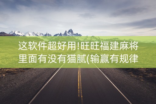 这软件超好用!旺旺福建麻将里面有没有猫腻(输赢有规律)