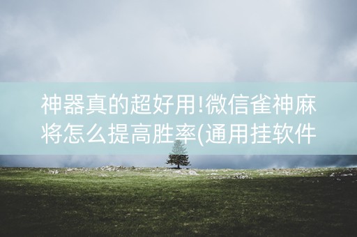 神器真的超好用!微信雀神麻将怎么提高胜率(通用挂软件多少钱)