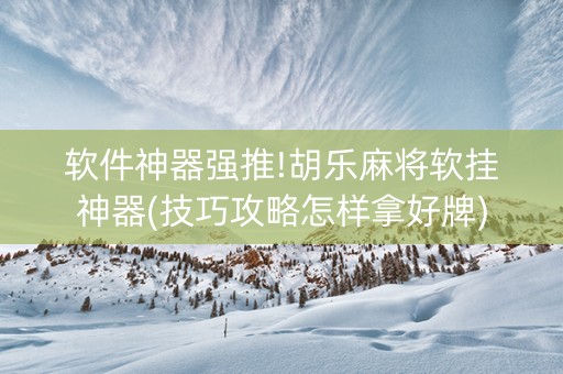 软件神器强推!胡乐麻将软挂神器(技巧攻略怎样拿好牌)