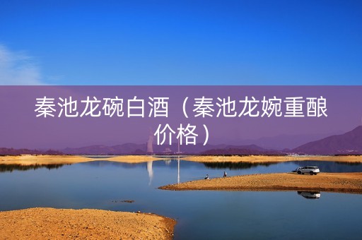 秦池龙碗白酒（秦池龙婉重酿价格）