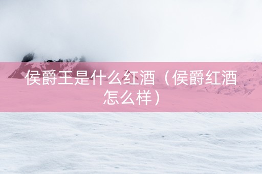 侯爵王是什么红酒（侯爵红酒怎么样）