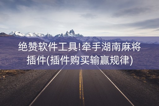 绝赞软件工具!牵手湖南麻将插件(插件购买输赢规律)