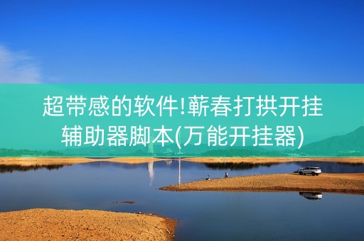 超带感的软件!蕲春打拱开挂辅助器脚本(万能开挂器)