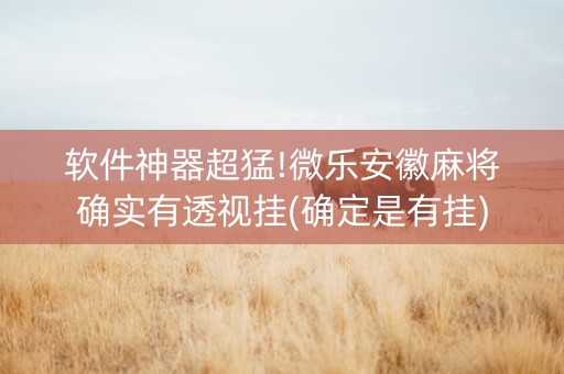 软件神器超猛!微乐安徽麻将确实有透视挂(确定是有挂)