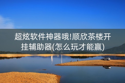 超炫软件神器哦!顺欣茶楼开挂辅助器(怎么玩才能赢)