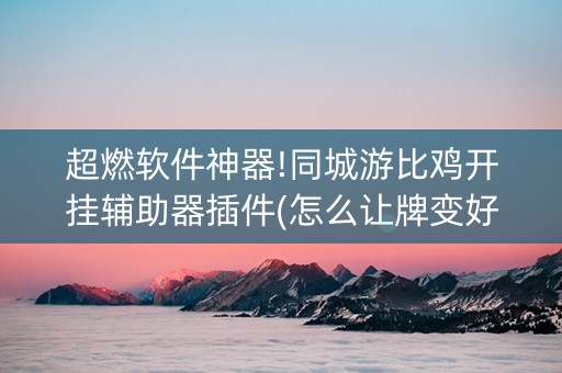 超燃软件神器!同城游比鸡开挂辅助器插件(怎么让牌变好)