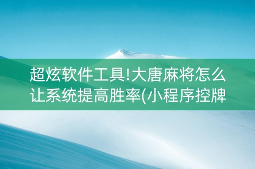 超炫软件工具!大唐麻将怎么让系统提高胜率(小程序控牌器)