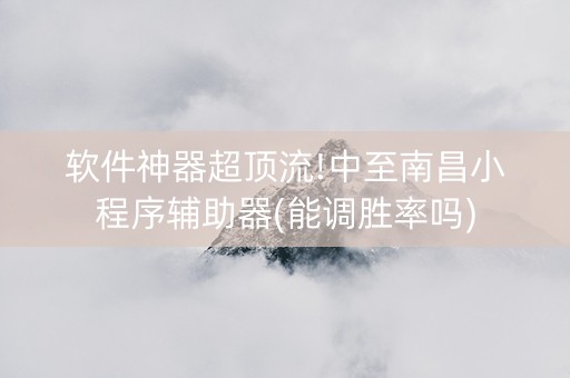 软件神器超顶流!中至南昌小程序辅助器(能调胜率吗)