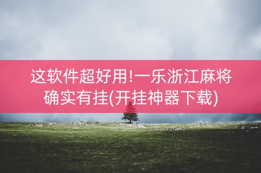 这软件超好用!一乐浙江麻将确实有挂(开挂神器下载)