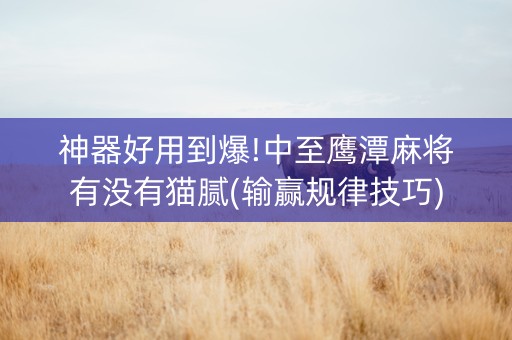 神器好用到爆!中至鹰潭麻将有没有猫腻(输赢规律技巧)