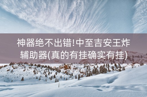 神器绝不出错!中至吉安王炸辅助器(真的有挂确实有挂)