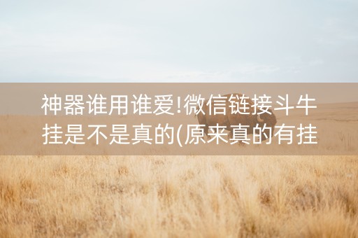 神器谁用谁爱!微信链接斗牛挂是不是真的(原来真的有挂)