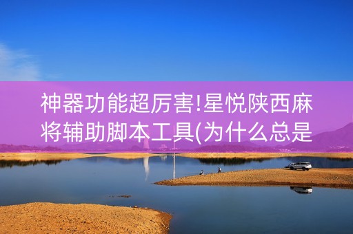 神器功能超厉害!星悦陕西麻将辅助脚本工具(为什么总是输)