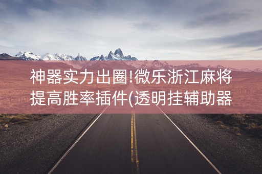 神器实力出圈!微乐浙江麻将提高胜率插件(透明挂辅助器)