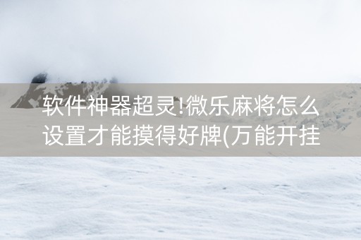软件神器超灵!微乐麻将怎么设置才能摸得好牌(万能开挂器)