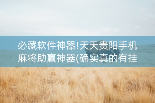 必藏软件神器!天天贵阳手机麻将助赢神器(确实真的有挂)