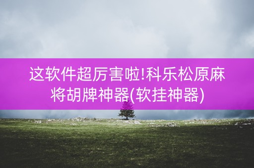 这软件超厉害啦!科乐松原麻将胡牌神器(软挂神器)