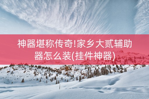 神器堪称传奇!家乡大贰辅助器怎么装(挂件神器)
