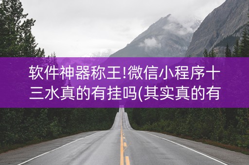 软件神器称王!微信小程序十三水真的有挂吗(其实真的有挂)