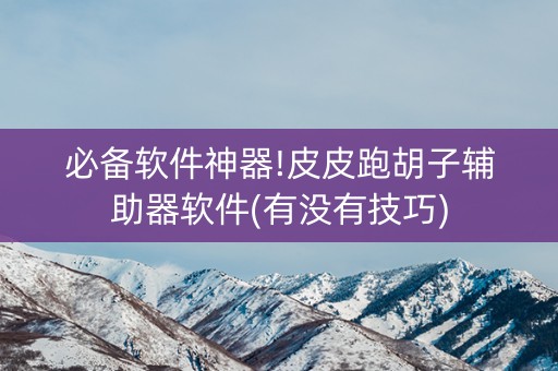 必备软件神器!皮皮跑胡子辅助器软件(有没有技巧)