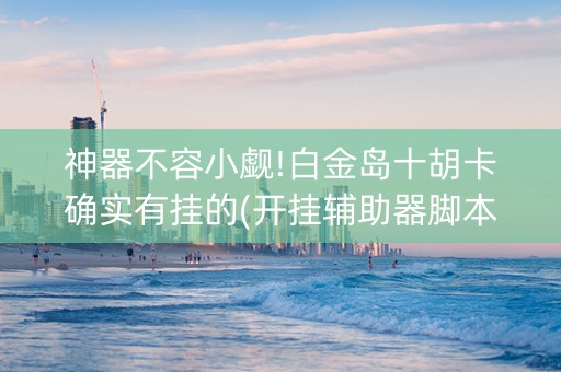 神器不容小觑!白金岛十胡卡确实有挂的(开挂辅助器脚本)