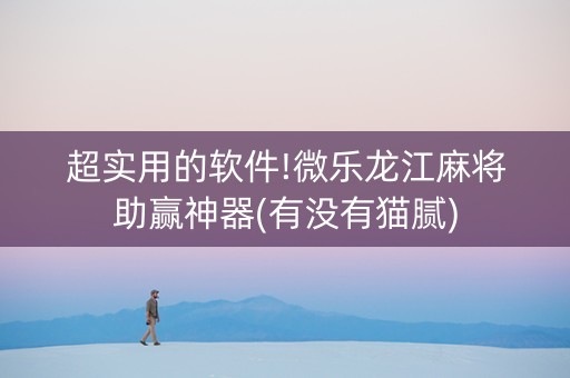 超实用的软件!微乐龙江麻将助赢神器(有没有猫腻)
