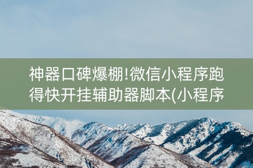 神器口碑爆棚!微信小程序跑得快开挂辅助器脚本(小程序控牌器)