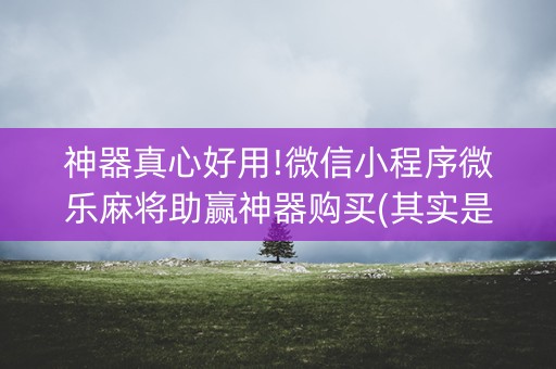 神器真心好用!微信小程序微乐麻将助赢神器购买(其实是有挂的)