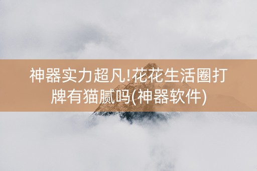 神器实力超凡!花花生活圈打牌有猫腻吗(神器软件)