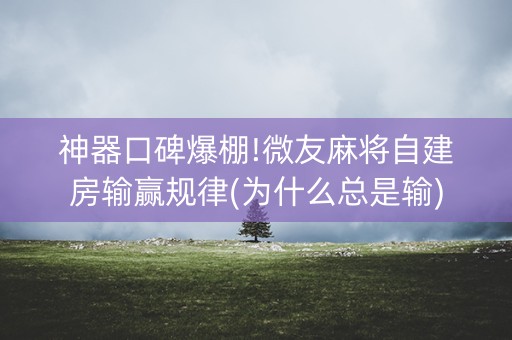 神器口碑爆棚!微友麻将自建房输赢规律(为什么总是输)