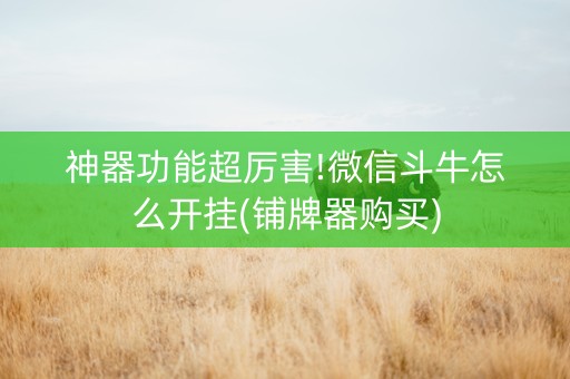 神器功能超厉害!微信斗牛怎么开挂(铺牌器购买)