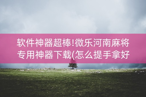 软件神器超棒!微乐河南麻将专用神器下载(怎么提手拿好牌)