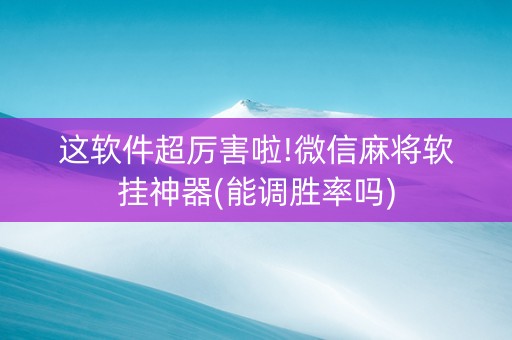 这软件超厉害啦!微信麻将软挂神器(能调胜率吗)