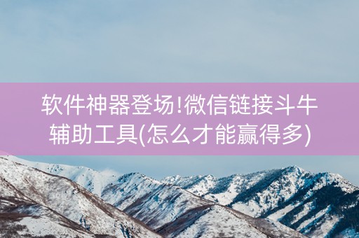 软件神器登场!微信链接斗牛辅助工具(怎么才能赢得多)