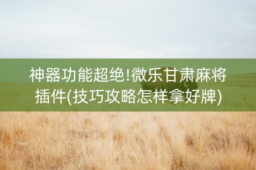 神器功能超绝!微乐甘肃麻将插件(技巧攻略怎样拿好牌)