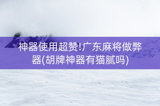 神器使用超赞!广东麻将做弊器(胡牌神器有猫腻吗)