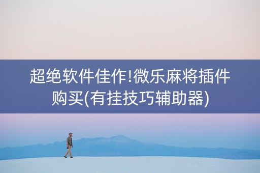 超绝软件佳作!微乐麻将插件购买(有挂技巧辅助器)