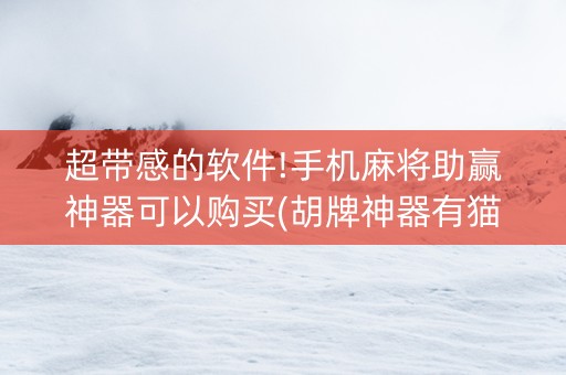 超带感的软件!手机麻将助赢神器可以购买(胡牌神器有猫腻吗)