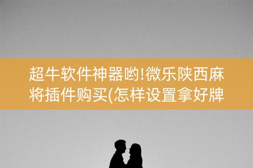 超牛软件神器哟!微乐陕西麻将插件购买(怎样设置拿好牌)