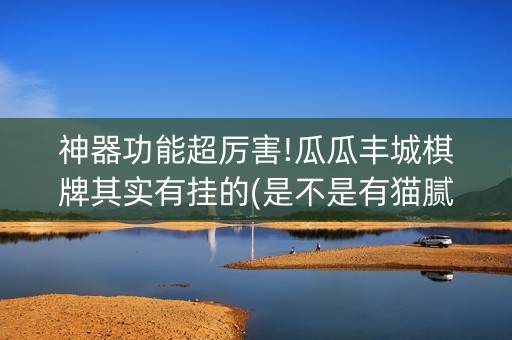 神器功能超厉害!瓜瓜丰城棋牌其实有挂的(是不是有猫腻)