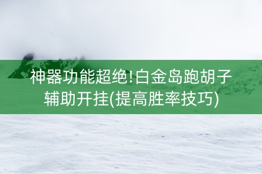 神器功能超绝!白金岛跑胡子辅助开挂(提高胜率技巧)